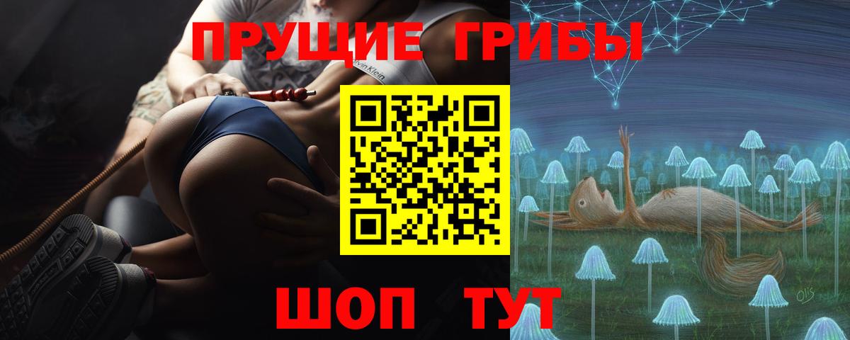 Псилоцибиновые грибы Cubensis  Вход с VPN  Ногинск 